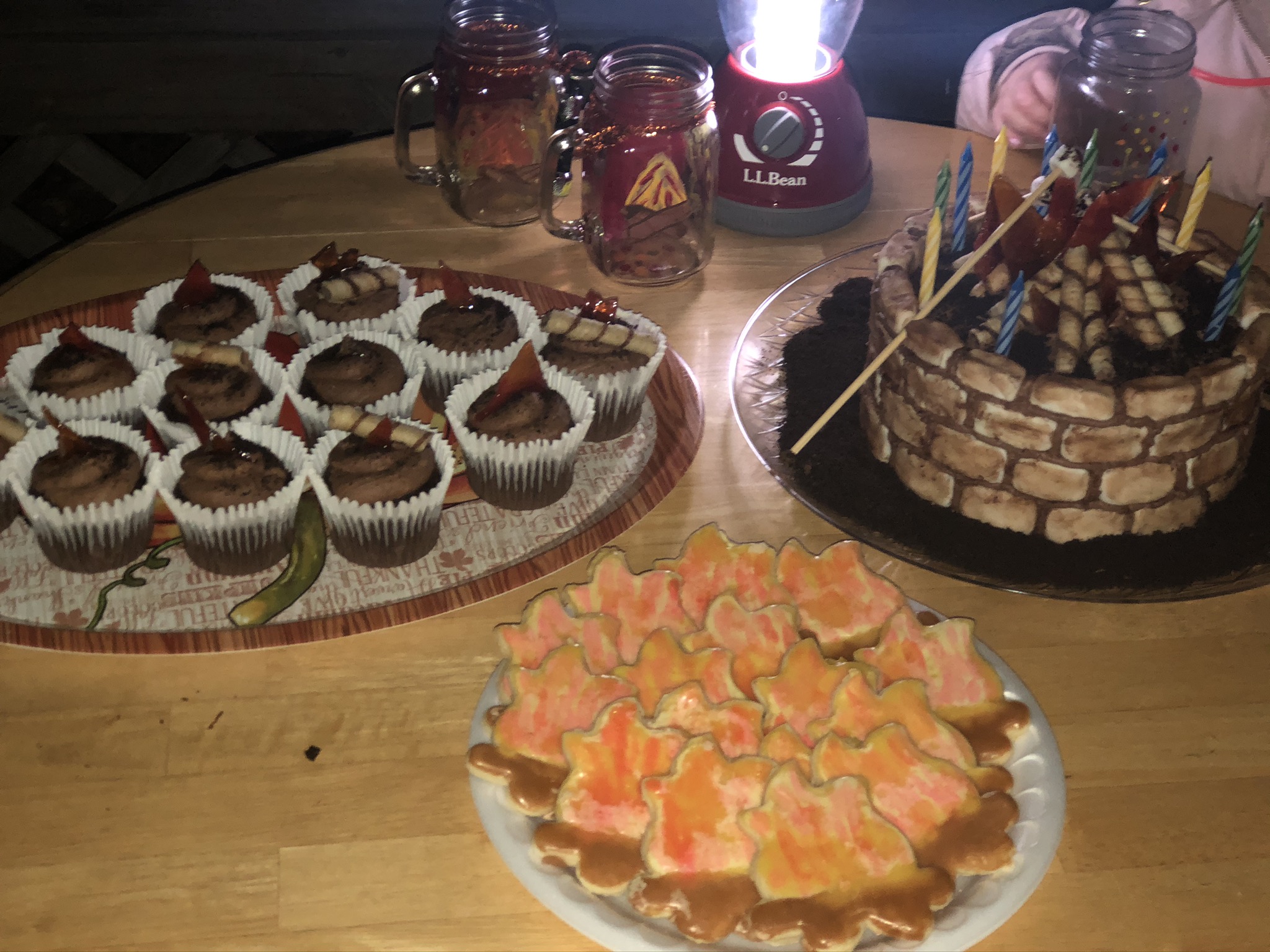 Camping Themed Birthday Party